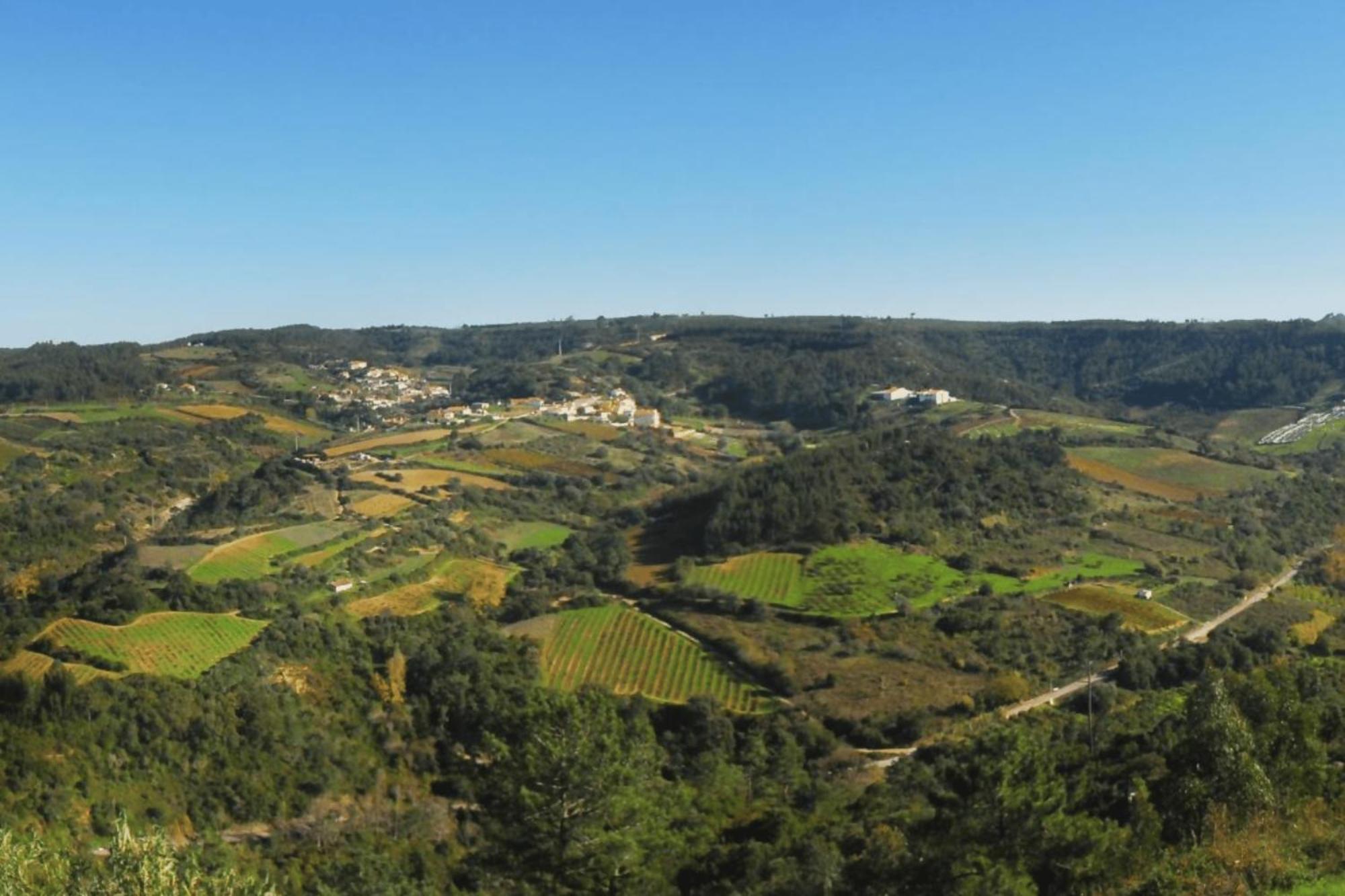 Casas Da Tia Alice - Casas De Campo Encantadoras Em Mafra Ngoại thất bức ảnh